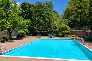 Swimming pool & sundeck
